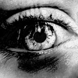 A profile image of EYEBALL COMPANY