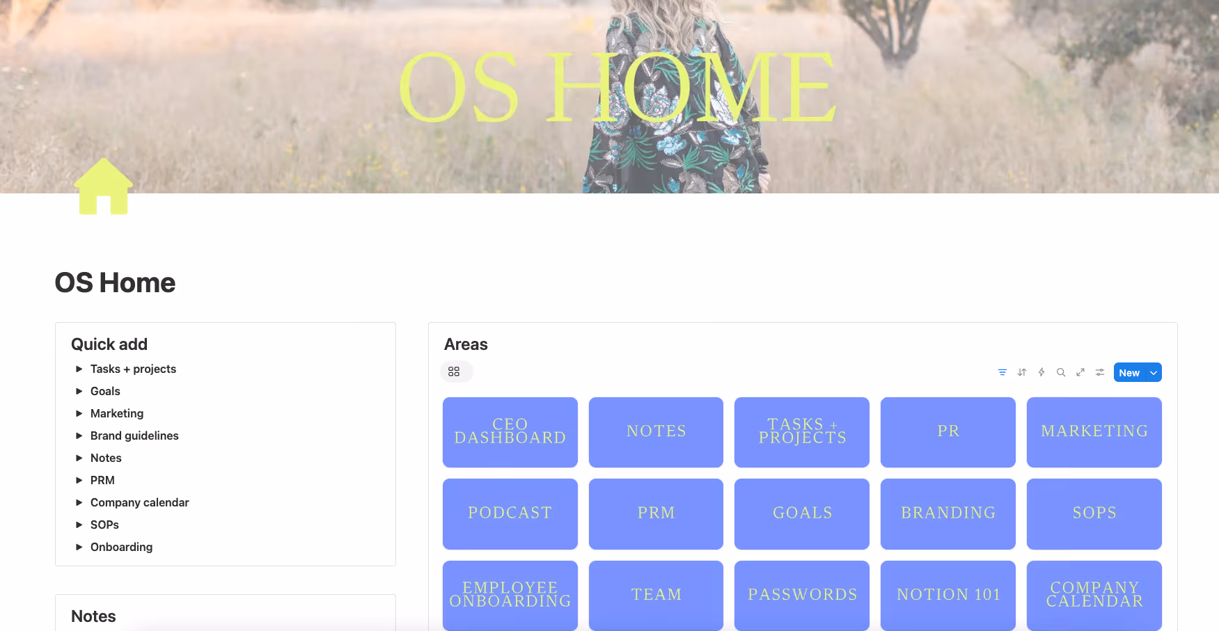 Business Notion Operating System for a Business Coach with Multiple Offers